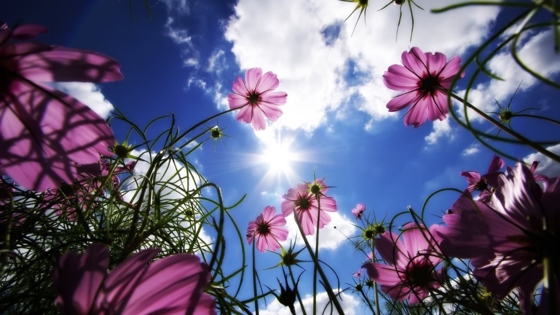 1920 x 1080 HD Wallpapers 1586